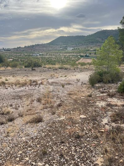 Image No.18-2 Bed Land for sale