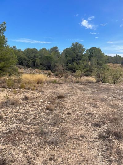 Image No.22-2 Bed Land for sale