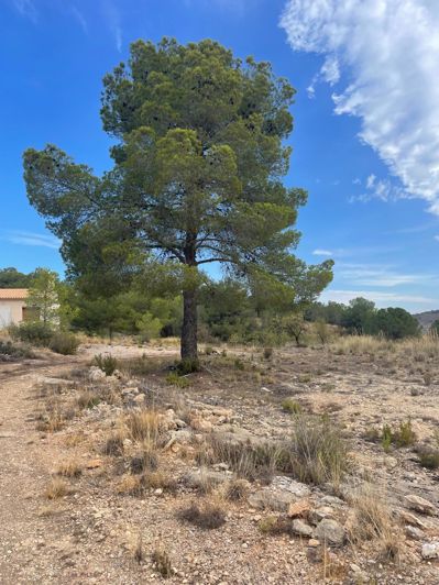 Image No.26-2 Bed Land for sale