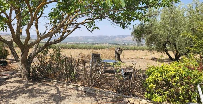 Image No.37-3 Bed Villa for sale