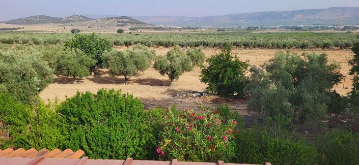 Image No.38-3 Bed Villa for sale