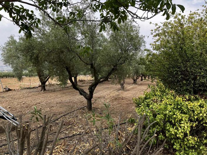 Image No.45-3 Bed Villa for sale