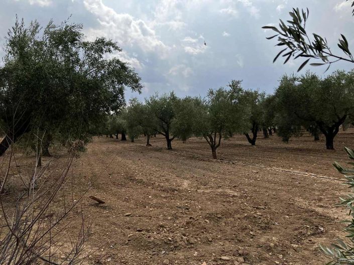 Image No.46-3 Bed Villa for sale