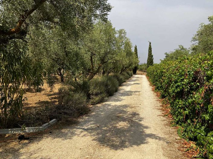 Image No.47-3 Bed Villa for sale