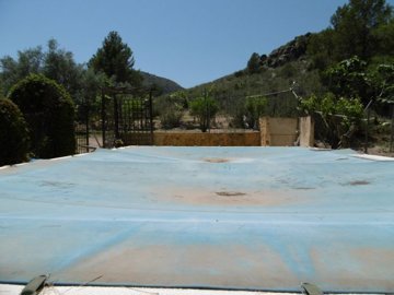 wp1000523