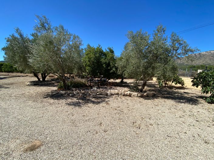 Image No.37-3 Bed Country House for sale