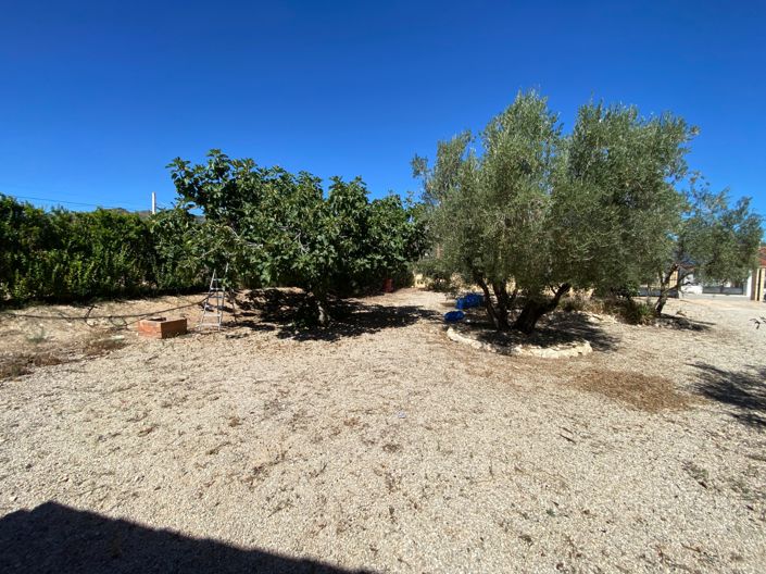 Image No.39-3 Bed Country House for sale