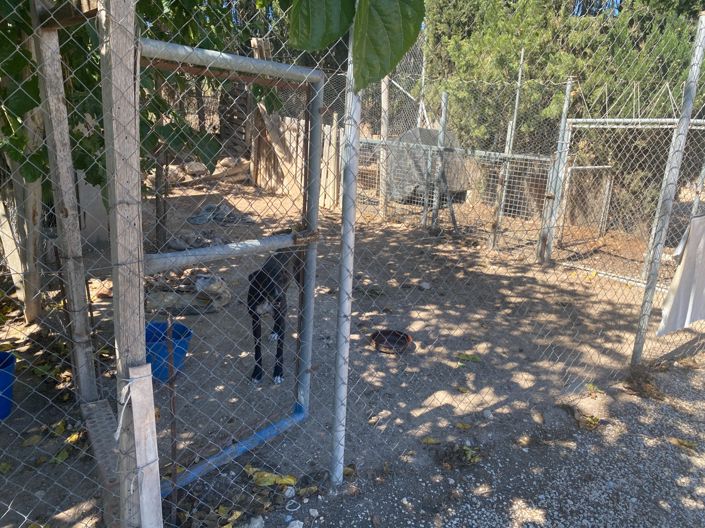 Image No.41-3 Bed Country House for sale