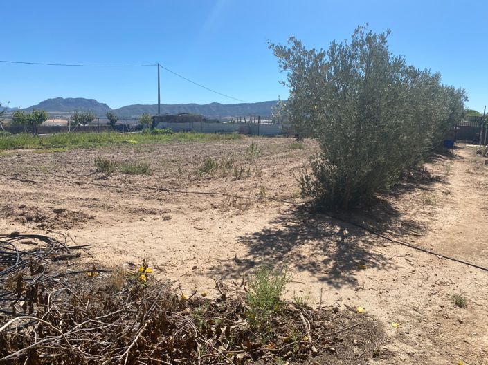 Image No.42-3 Bed Country House for sale