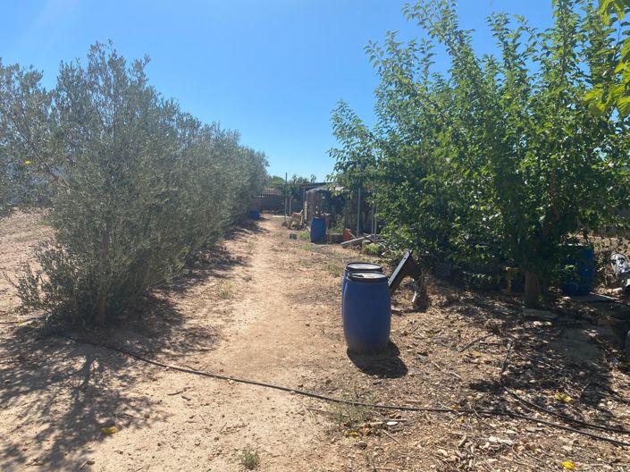 Image No.43-3 Bed Country House for sale