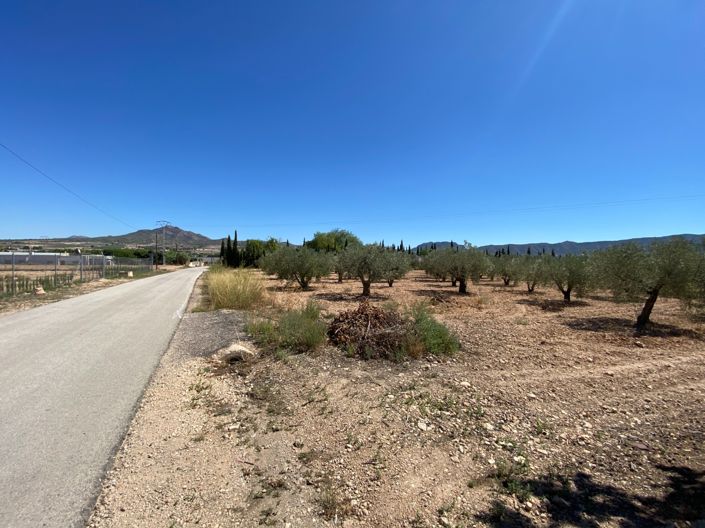 Image No.47-3 Bed Country House for sale