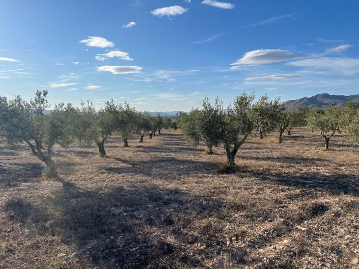 Image No.14-1 Bed Finca for sale