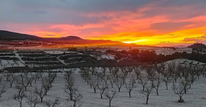 Image No.1-4 Bed Country House for sale