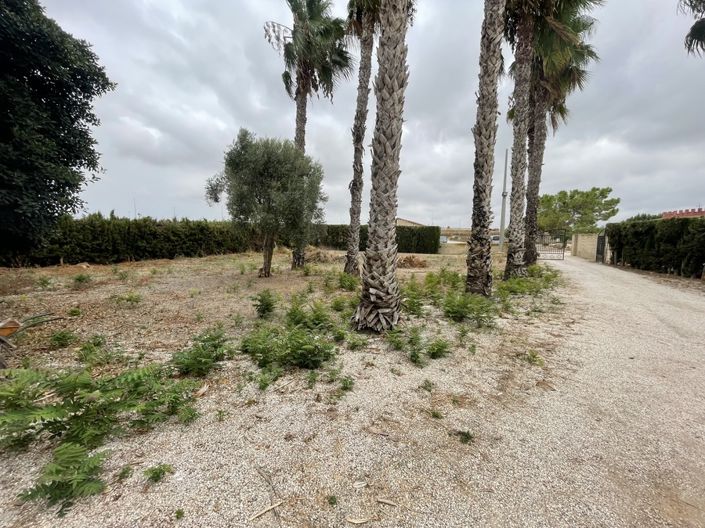 Image No.2-3 Bed Finca for sale