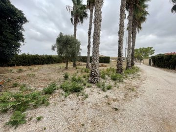 31147-for-sale-in-daya-vieja-10878069-large