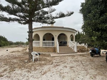 31147-for-sale-in-daya-vieja-10878070-large