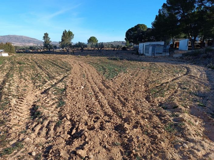 Image No.38-6 Bed Country House for sale