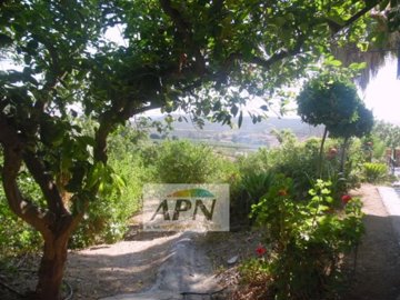 country-house-in-alora-4-large