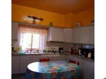 country-house-in-alora-7-large