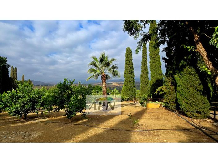 Image No.43-14 Bed Country House for sale