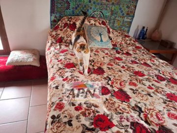 country-house-in-alora-8-large