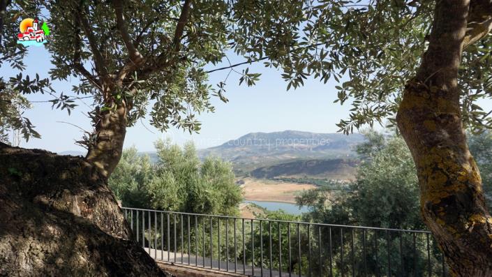 Image No.39-6 Bed Country Property for sale