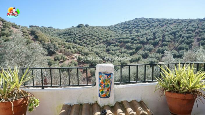 Image No.44-7 Bed Country Property for sale