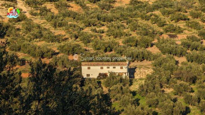 Image No.4-4 Bed Country Property for sale