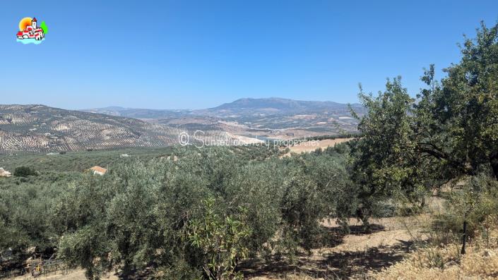 Image No.2-4 Bed Country House for sale