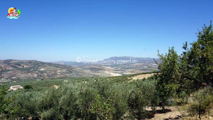 Image No.37-4 Bed Country House for sale