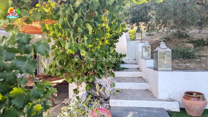 Image No.35-5 Bed Country House for sale