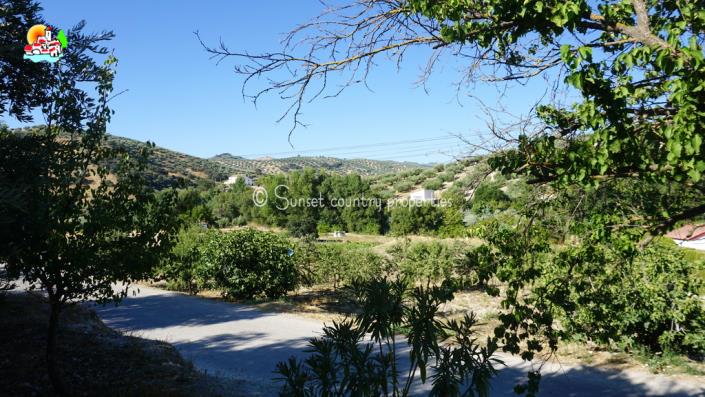 Image No.37-5 Bed Country House for sale