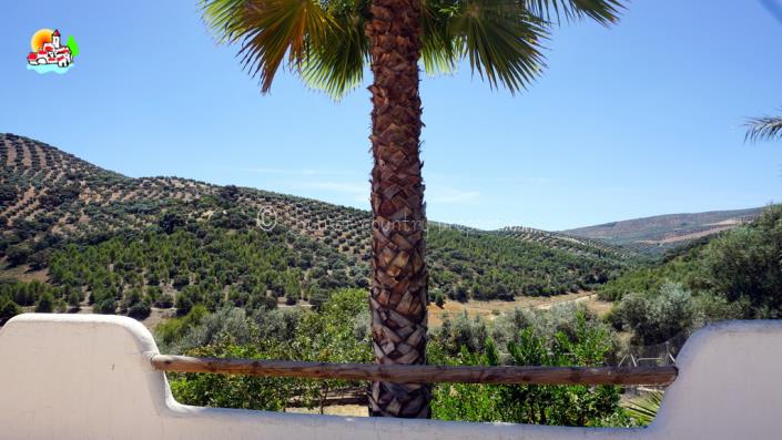 Image No.17-4 Bed Country Property for sale