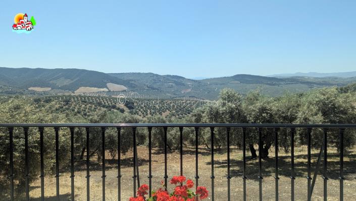 Image No.4-4 Bed Country Property for sale