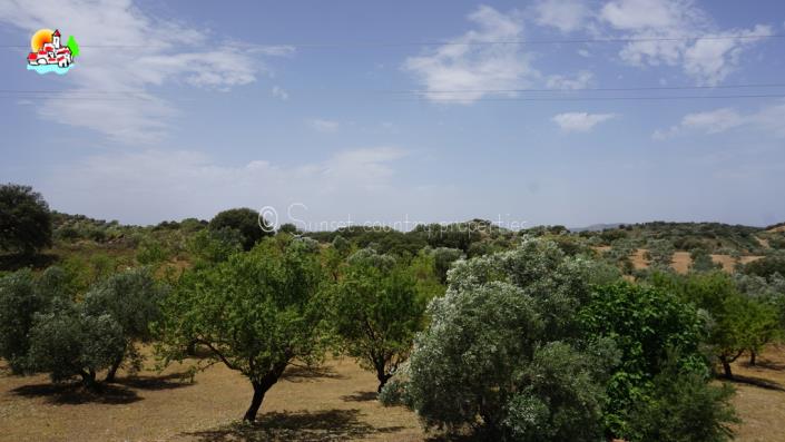 Image No.46-4 Bed Country Property for sale