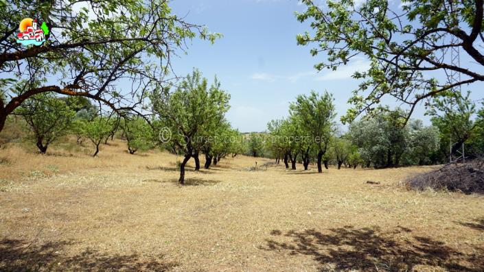 Image No.60-4 Bed Country Property for sale