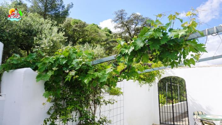 Image No.50-3 Bed Country Property for sale