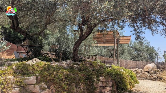 Image No.42-5 Bed Country House for sale