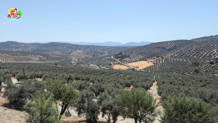 Image No.44-5 Bed Country House for sale