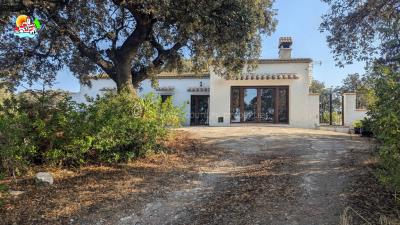 3 Bed Country Property for sale