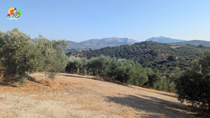 Image No.21-3 Bed Country Property for sale