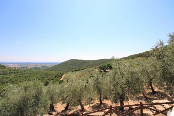 Image No.6-8 Bed Country House for sale