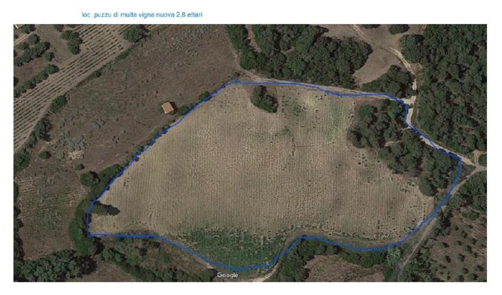 Image No.6-Vineyard for sale