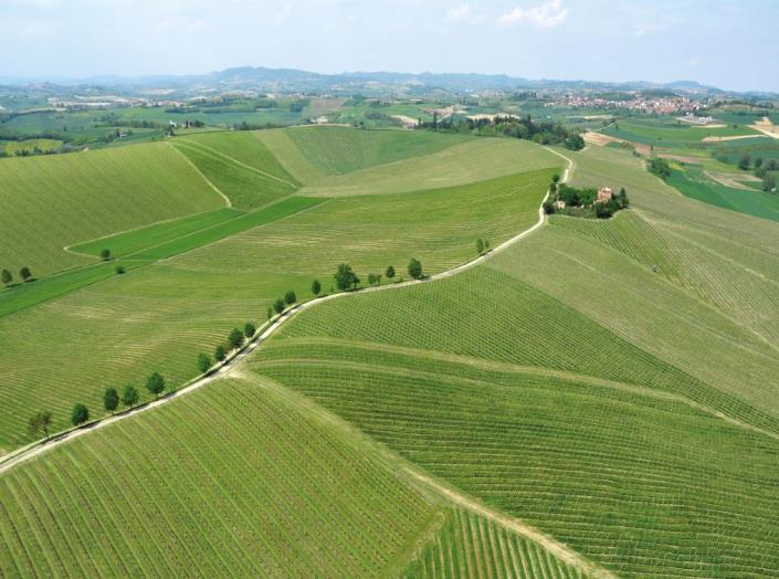 Image No.3-20 Bed Vineyard for sale