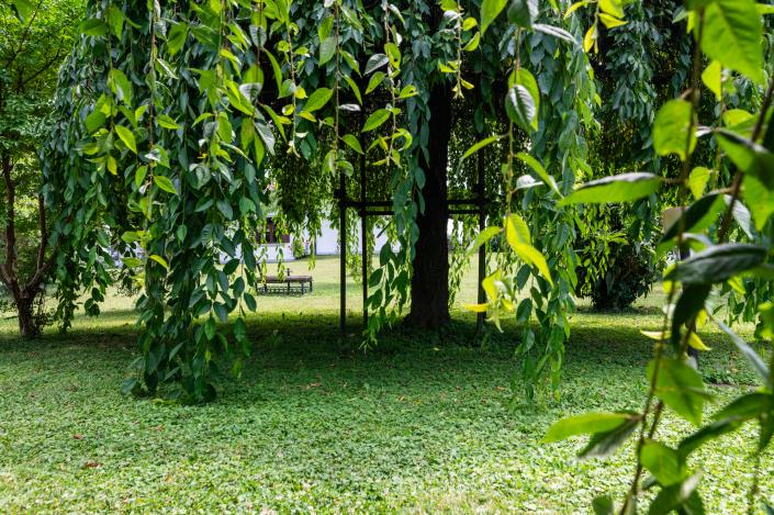 Image No.50-5 Bed Mansion for sale