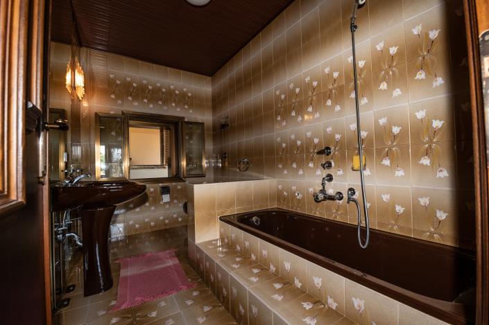 Image No.18-6 Bed Mansion for sale