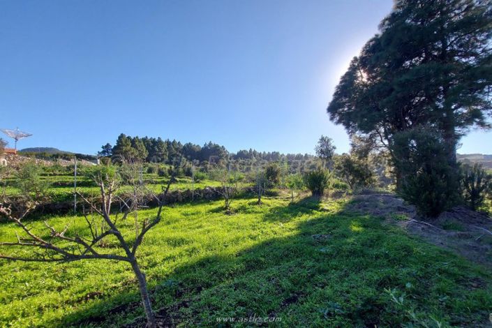 Image No.21-2 Bed Country House for sale