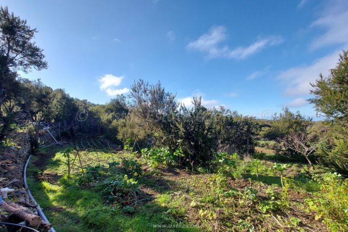 Image No.24-2 Bed Country House for sale