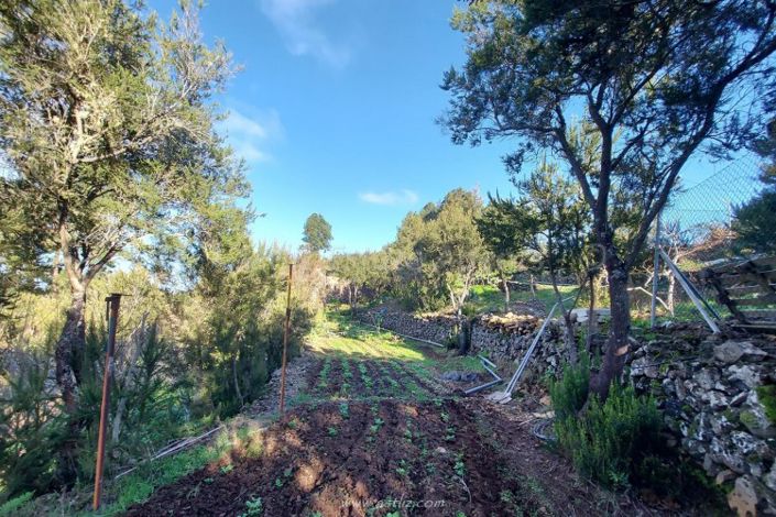 Image No.26-2 Bed Country House for sale