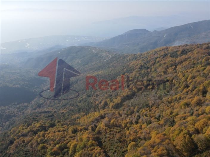 Image No.1-Property for sale